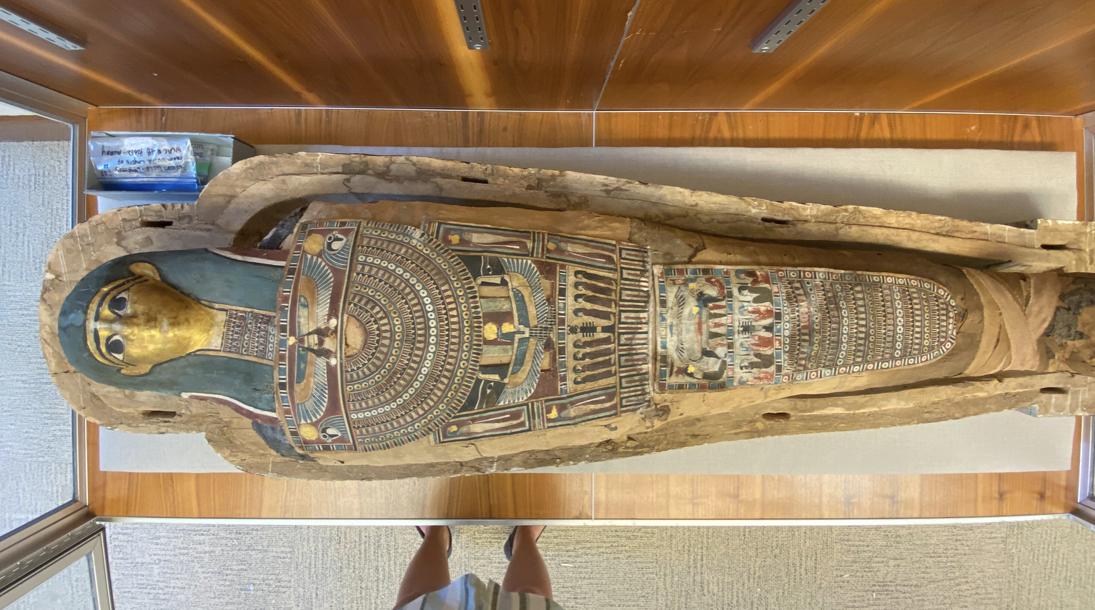 Lady Pesed, Westminster’s 2,300-year-old mummy, undergoes restoration